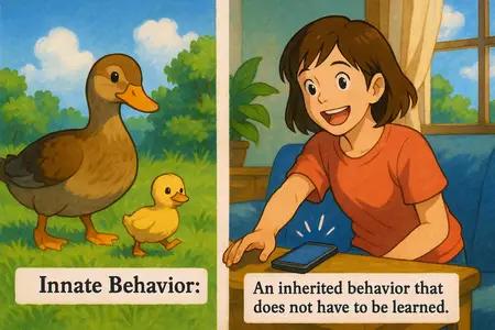 innate behavior Simple Definition