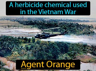 Agent Orange Simple Definition