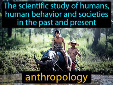 anthropology Simple Definition