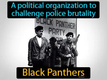 Black Panthers Simple Definition