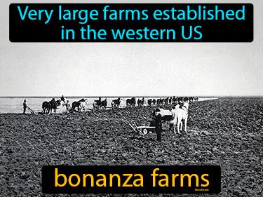 bonanza farms Simple Definition
