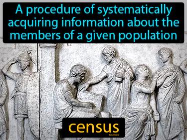 census Simple Definition
