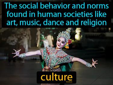 culture Simple Definition