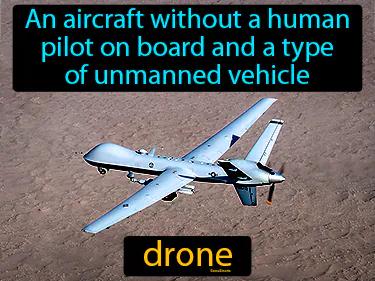 drone Simple Definition