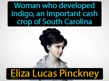 Eliza Lucas Pinckney Simple Definition