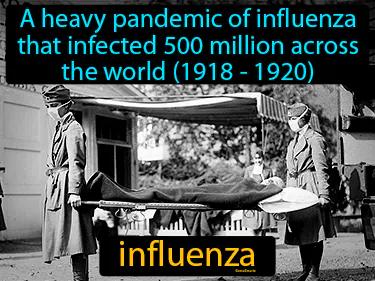 influenza Simple Definition