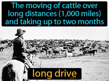 long drive Simple Definition