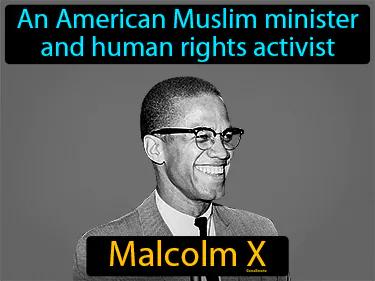 Malcolm X Simple Definition