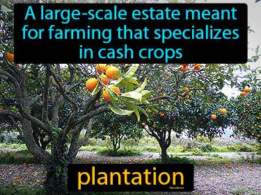 plantation Simple Definition