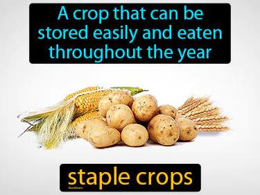 staple crops Simple Definition