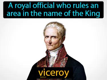viceroy Simple Definition
