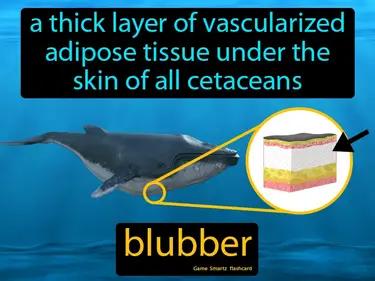 blubber Simple Definition