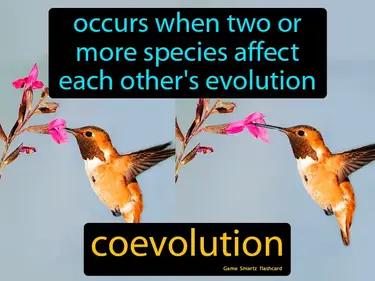 coevolution Simple Definition