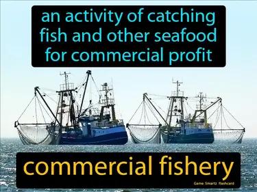 commercial fishery Simple Definition