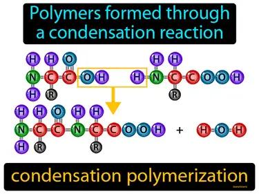 condensation polymerization Simple Definition