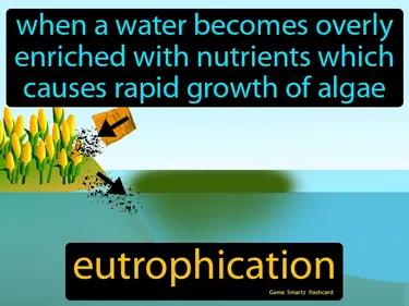 eutrophication Simple Definition