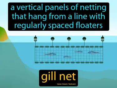 gill net Simple Definition