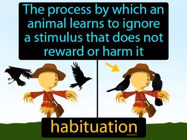 habituation Simple Definition