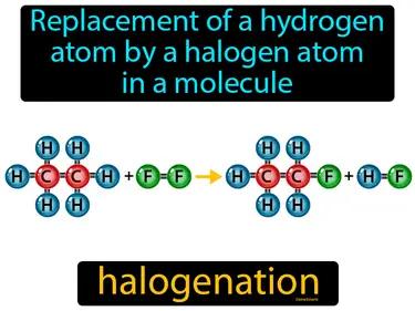 halogenation Simple Definition