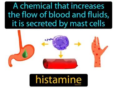 histamine Simple Definition