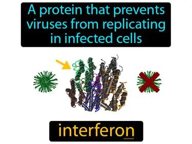 interferon Simple Definition