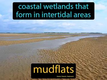 mudflats Simple Definition