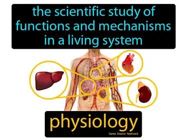 physiology Simple Definition