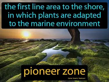 pioneer zone Simple Definition