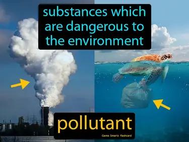 pollutant Simple Definition