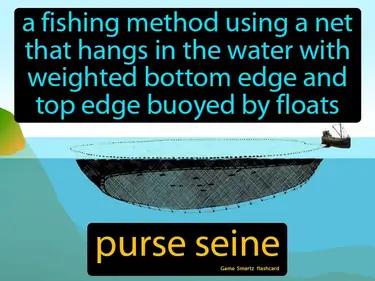 purse seine Simple Definition