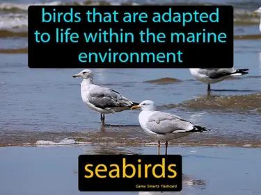 seabirds Simple Definition