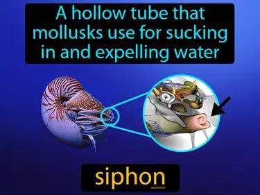 siphon Simple Definition