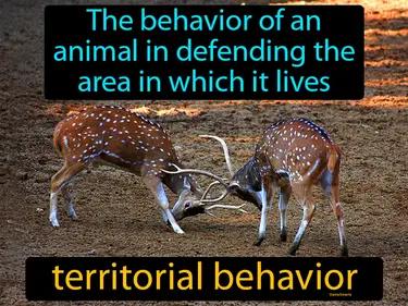 territorial behavior Simple Definition