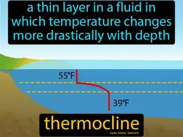 thermocline Simple Definition