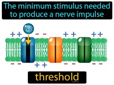 threshold Simple Definition