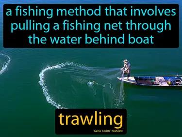 trawling Simple Definition