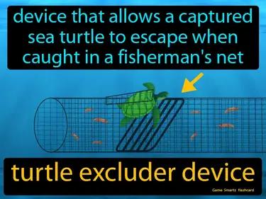 turtle excluder device Simple Definition