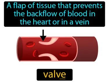 valve Simple Definition