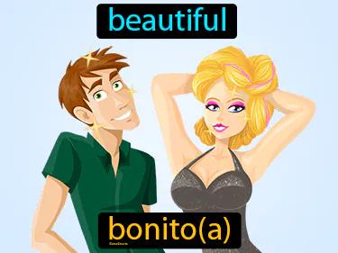 bonito Simple Definition
