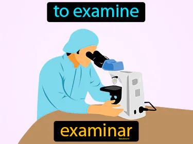 examinar Simple Definition