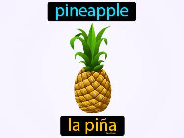 la pina Simple Definition