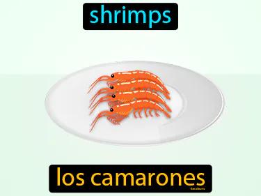 los camarones Simple Definition