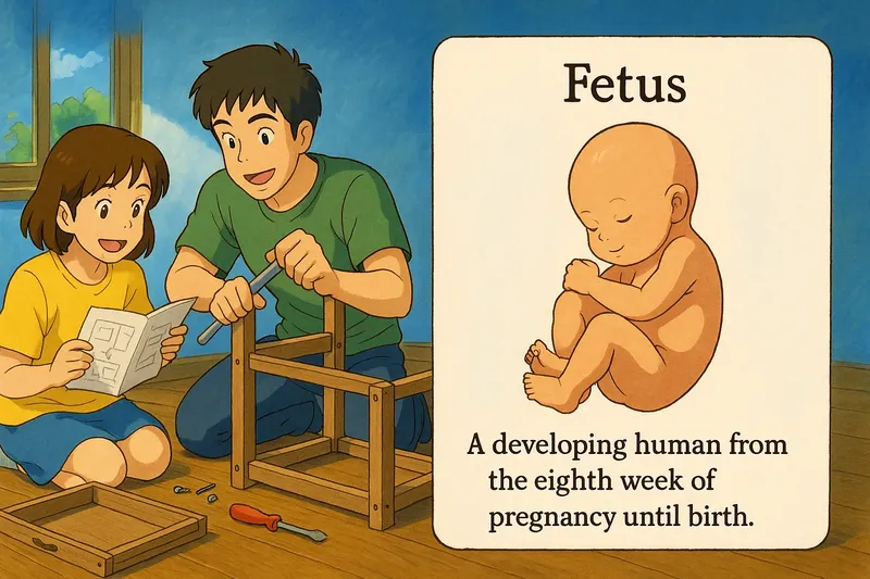 What is a Fetus? - Easy to Understand