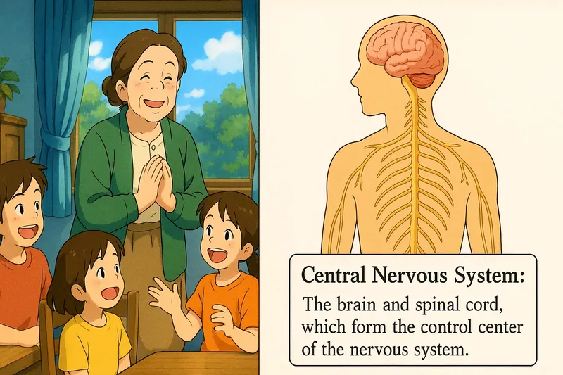 What is the Central Nervous System? - Easy to Understand What is the Central Nervous System? - Easy to Understand