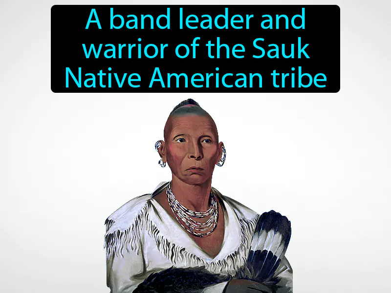 Black Hawk Definition Black Hawk Definition