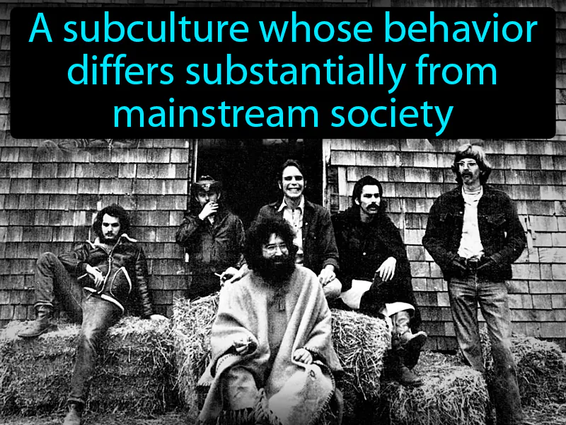 Counterculture Definition Counterculture Definition