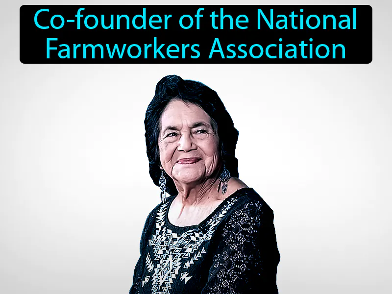 Dolores Huerta Definition