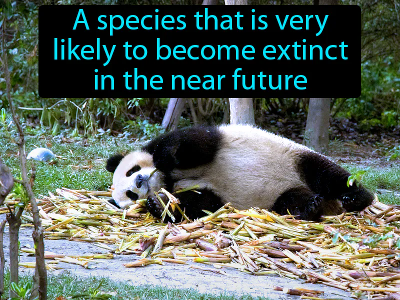 Endangered Species Definition Endangered Species Definition