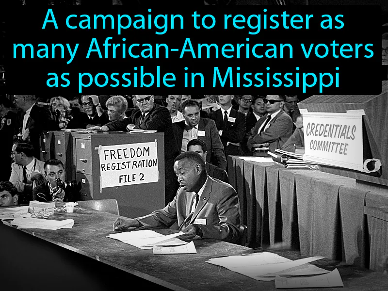 Freedom Summer Definition