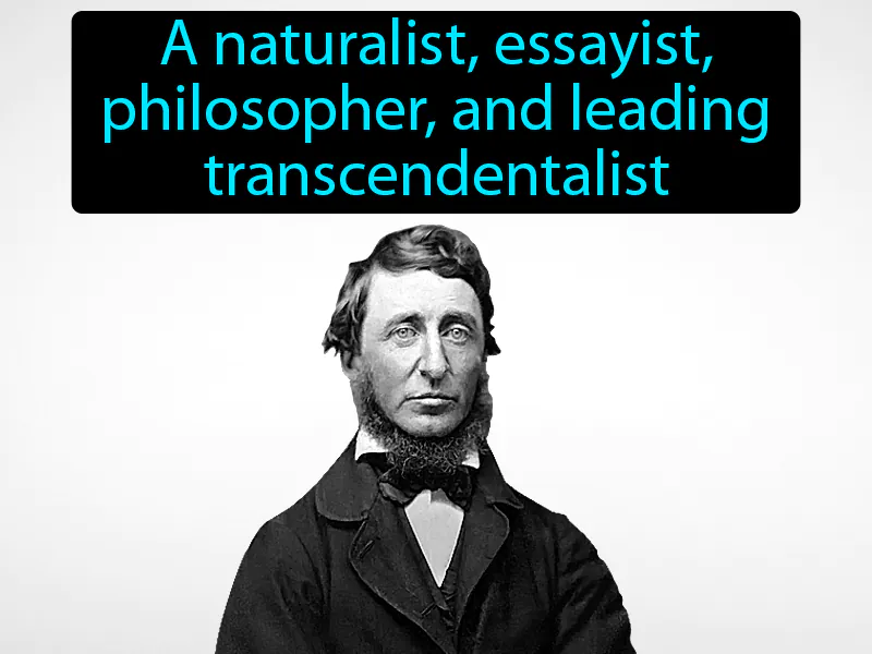 Henry David Thoreau Definition Henry David Thoreau Definition